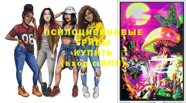 прущие грибы Слюдянка