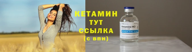 прущие грибы Слюдянка