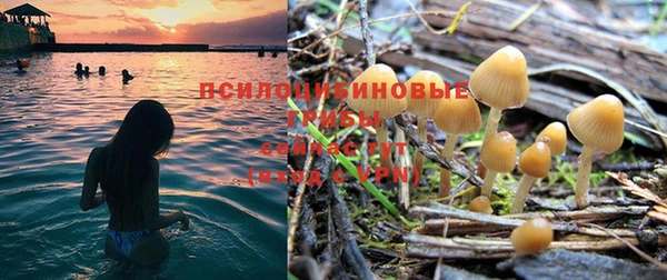 прущие крисы Снежногорск