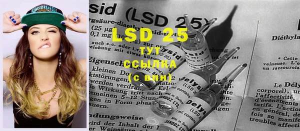прущие грибы Слюдянка