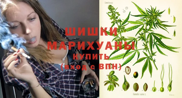 прущие грибы Слюдянка