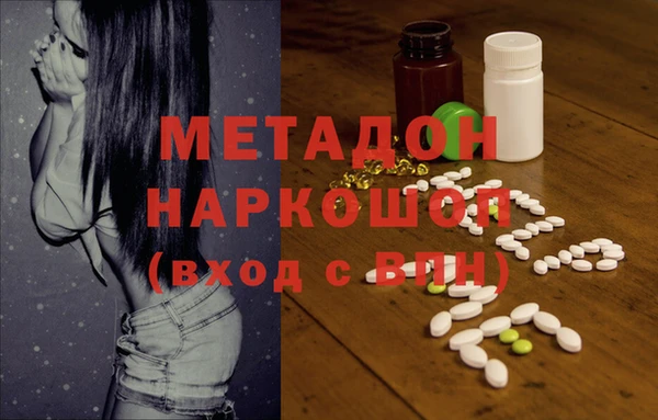 прущие грибы Слюдянка