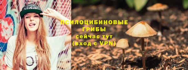 прущие грибы Слюдянка