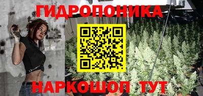 mdpv Гатчина