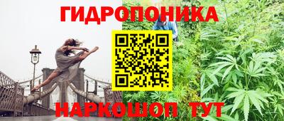 mdpv Гатчина