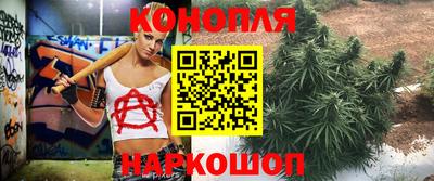 шишки Донецк