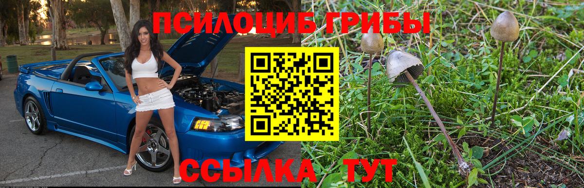 Псилоцибиновые грибы Magic Shrooms Урай